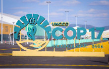 Манай улсад НҮБ-ын “UNCCD COP17” өнөөдөр эхэлнэ