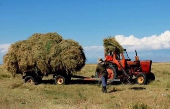 Өвс, тэжээл, хивэгний экспортыг 2021 оны дөрөвдүгээр сар хүртэл хязгаарлалаа