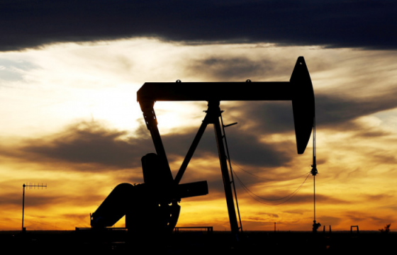 ТАНИЛЦ: Монголд нефть оруулж ирдэг тусгай зөвшөөрөлтэй компаниудын нэрс
