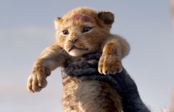Дисней кино компани “Араатны хаан арслан” киноны дараагийн ангийг бүтээнэ