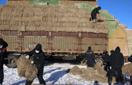 Дүйцүүлэх алба хаагчид  1500 гаруй боодол өвсийг 30 гаруй  өрхөд тараалаа