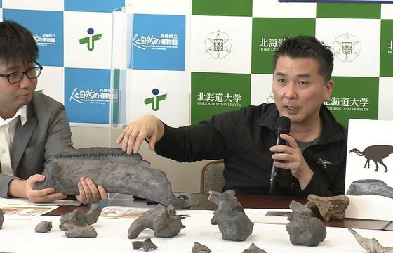 Японы судлаачид шинэ төрөл зүйлийн үлэг гүрвэлийн чулуужсан ясыг илрүүлжээ