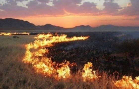 Хэнтий аймгийн Норовлин суманд 484 га талбай түймэрт шатжээ