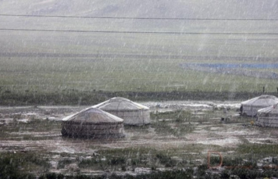 М.АМГАЛАН: Аадар борооны улмаас нэг малчны 286 бог малын 208 нь хорогдсон