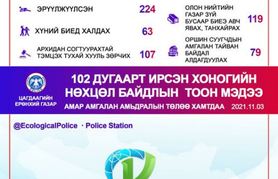 Гэр бүлийн хүчирхийллийн шинжтэй 123 дуудлага бүртгэгджээ