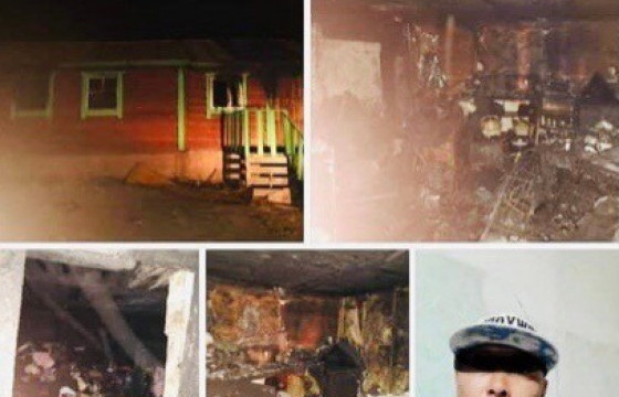 Шатахуун цацаж, хамтран амьдрагчийнхаа гэрийг санаатайгаар шатаах гэж байсан иргэнийг суллажээ