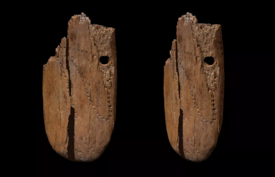 Евразийн хамгийн эртний үнэт эдлэл хүний гараар хийсэн 41,500 жилийн настай зааны соёон зүүлт