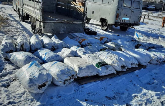 Улаагчны хар нуураас хууль бусаар загас барьж, тээвэрлэсэн хэргийг шалгаж байна