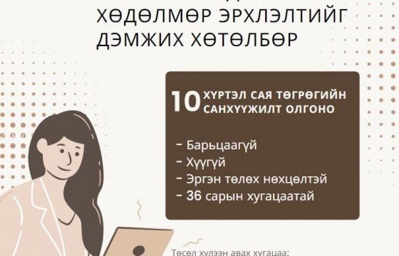 Эмэгтэйчүүдийн хөдөлмөр эрхлэлт хөтөлбөрөөр 10 сая хүртэлх санхүүжилт олгохоор болжээ 