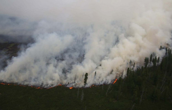 Ө.ГАНЗОРИГ: Хэнтий аймгийн Норовлин суманд гарсан ойн түймрийг бүрэн унтраасан