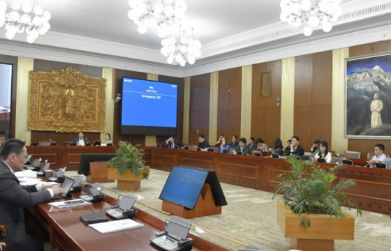 Үндэсний их баяр наадмын тухай хуулийг дагаж мөрдөх журмын тухай хуулийн төслийг хэлэлцлээ