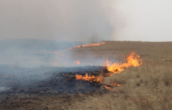 Завхан аймгийн Баянтэс сумаас гарсан түймэрт 7600 гаруй га талбай шатжээ