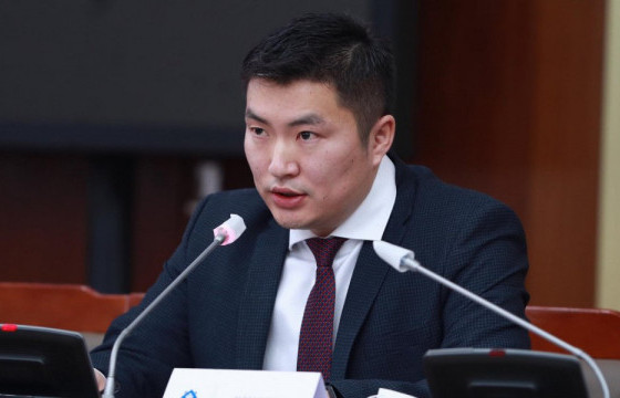 Н.МАНДУУЛ: Хөгжлийн банкны нийт 11 зээлдэгч зээлээ бүрэн төлсөн