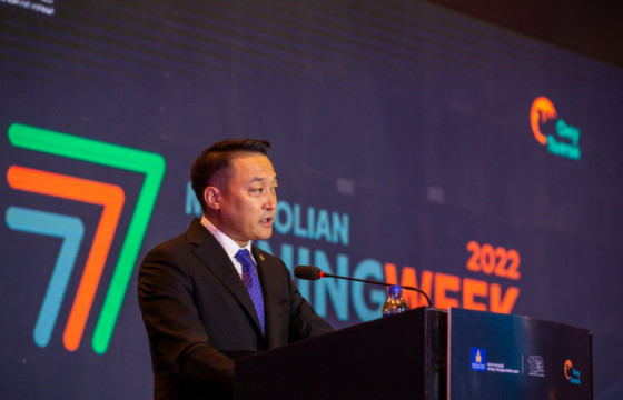 Д.Амарбаясгалан: Төр нэг гараараа зөвшөөрөл өгчихөөд, нөгөө гараараа хөрөнгө оруулагчид, хувийн хэвшлээ дарамталж болохгүй