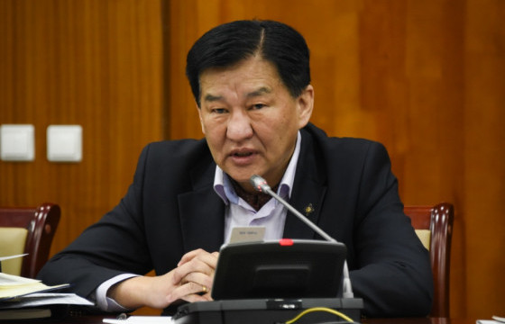 Ц.ДАВААСҮРЭН: Газрын тухай багц хуульд ноцтой хоёр заалт орсон байна