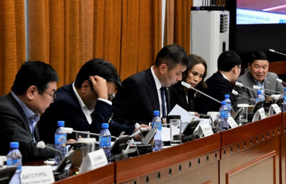 Өнөөдрийн сонсголд Хөгжлийн банкнаас санхүүжүүлсэн 12 зээлд холбогдуулан 31 гэрчийг дууджээ