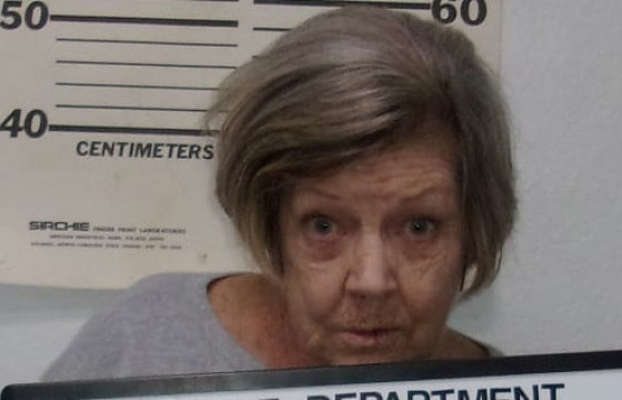 АНУ-д 78 настай эмэгтэйг гурван удаагийн банк дээрэмдсэн хэргээр яллажээ