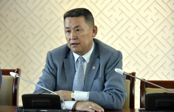 Ш.АДЬШАА: ҮХНӨ-ийг хийснээр төрд бугшсан асуудлууд өргөс авсан юм шиг өөрчлөгдөхгүй