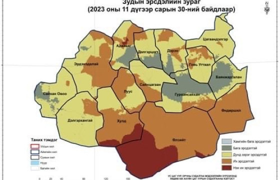 Дундговь аймагт бэлчээрийн өвс ургамал цасанд дарагдаж, мал бэлчих боломжгүйд хүрчээ