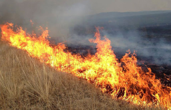 Дорнод аймгийн Матад суманд хээрийн түймэр гарч, 700 га талбай шатжээ