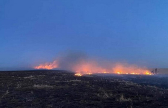 Сүүлийн 10 хоногт 21 удаагийн ой, хээрийн түймрийн дуудлага бүртгэгдлээ