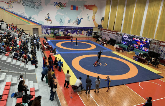 “MJ CUP-2024” чөлөөт бөхийн тэмцээн эхэллээ