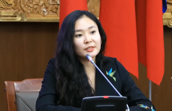 С.ЦЭНГҮҮН: Төсвийг 1.2 их наядаар танах боломж байна