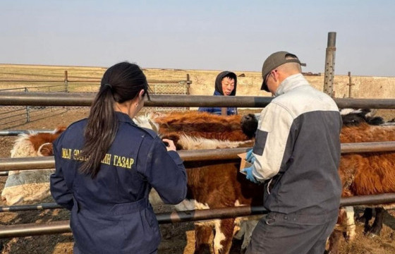 Шүлхий өвчнөөс урьдчилан сэргийлэх дархлаажуулалт 45 хувьтай үргэлжилж байна