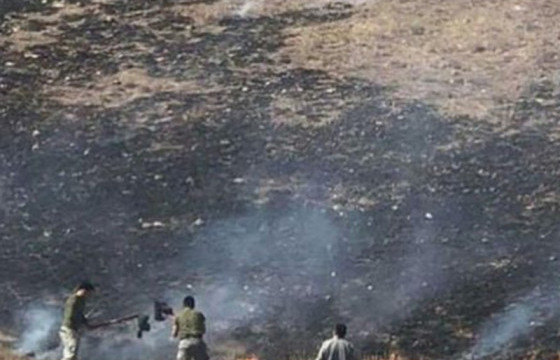 Дорнод аймагт гарсан гурван хээрийн түймрийг унтраажээ