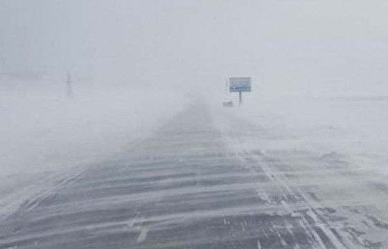 Төөрсөн сураггүй болсон гурван удаагийн дуудлага бүртгэгдэж, эрлийн ажиллагааг зохион байгууллаа