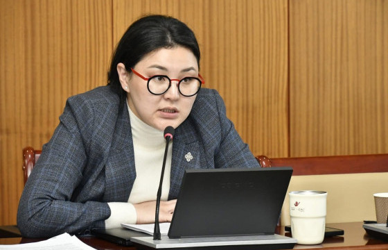 Э.БОЛОРМАА: МАН-ын Их хуралтай холбогдуулж улс төржиж байна гэж харж байна