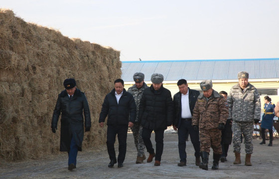 Баруун бүсийн гамшиг, аюулт үзэгдэл, ослын дуудлага 12.9 хувиар буурчээ