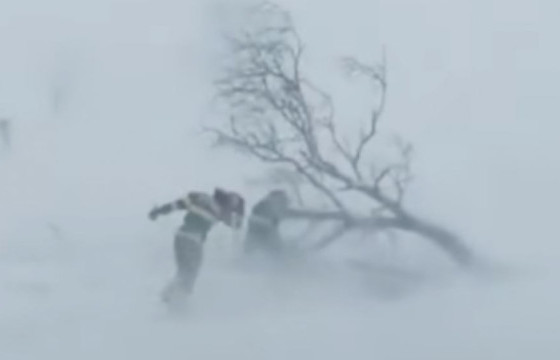 Цаг агаарын аюултай үзэгдлээс сэрэмжлүүлж байна