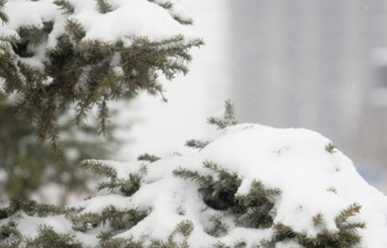 ЦАГ АГААР: УЛААНБААТАРТ ӨДӨРТӨӨ -24 ХЭМ ХҮЙТЭН БАЙНА