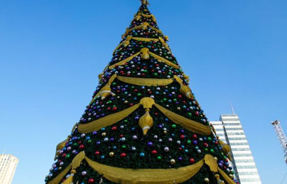 Талбайн сүлд модны гэрлийг өнөөдөр асаана