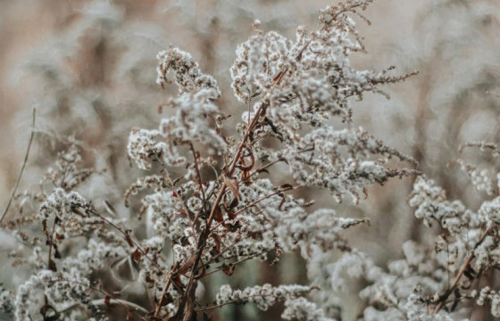 Ирэх 10 хоногийн цаг агаарын урьдчилсан төлөв