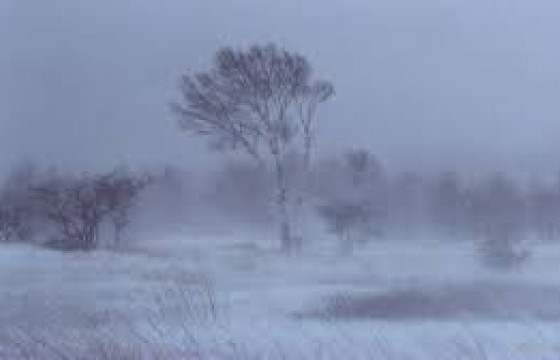 Хэнтий аймагт төөрсөн 53 настай эрэгтэй эсэн мэнд олжээ 