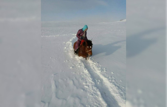 ЦАСАН ДУНДАХ ЦАГААН ХАЛААДТАН 