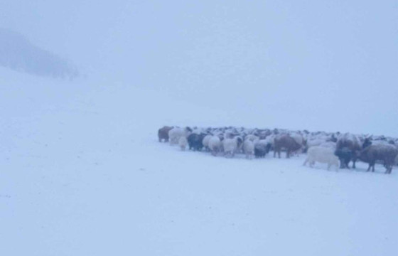 Хэнтий аймгийн Биндэр суманд хоёр иргэн осгож нас баржээ