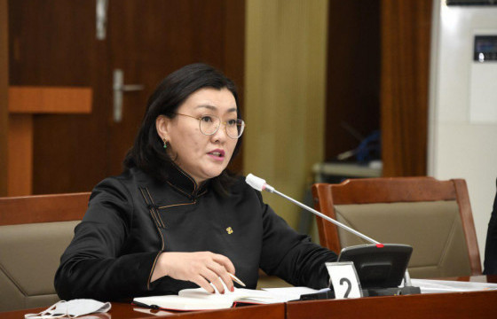 А.АРИУНЗАЯА: Хаврын чуулганаар Зөвшөөрлийн хуулийг батлуулах төлөвлөгөөтэй ажиллаж байна