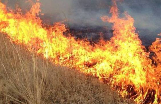 Гурван аймагт ой хээрийн түймэр гарчээ