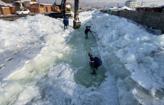 Нийслэлийн 19 байршилд халиа тошин үүсжээ