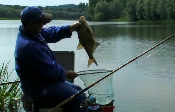 Үржлийнх нь үед загас агнаж, барихыг хориглоно