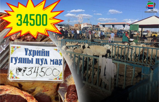ЭМЭЭЛТЭД ХОНЬ 320-500 МЯНГА, ХҮЧИТ ШОНХОР ЗАХАД ҮХРИЙН МАХ КИЛОГРАММ НЬ 32-34 МЯНГАН ТӨГРӨГИЙН ҮНЭТЭЙ БАЙНА