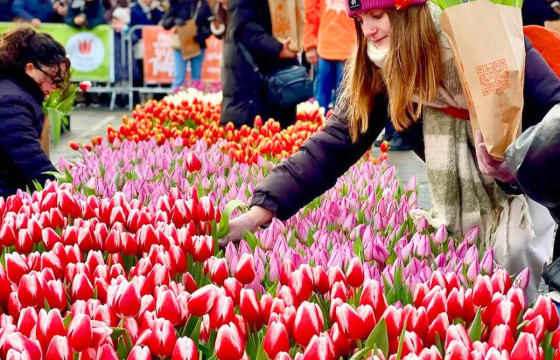 Нидерландын алтан зул цэцгийн баяр  эхэллээ