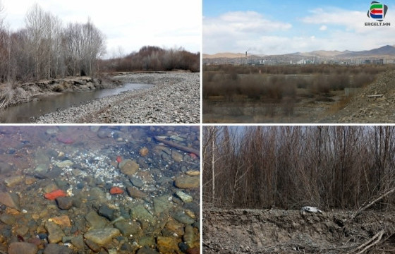 ТАМИР НЬ ТАСРАХ ДӨХСӨН ТУУЛ ГОЛ ХИМИЙН БОДИС, БААС, ШЭЭСТЭЙ ХОЛИЛДОН УРСАНА 