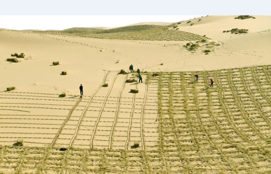 Шилийн гол аймаг цөлжилттэй тэмцэх ажлаа эхлүүллээ