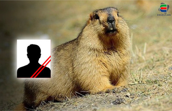 ШҮҮГДЭГЧ М: ДЭРСЭН ДОТОР ХОЁР ХУРУУ ХЭМЖЭЭТЭЙ ТАРВАГАНЫ ХАР ТОЛГОЙ ЦУХУЙГААД БАЙХААР НЬ БУУДЧИХСАН ЧИНЬ ХҮН БАЙСАН