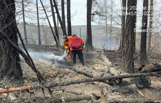 ОБЕГ: Өнгөрөгч долоо хоногт найман удаагийн ой хээрийн түймрийг унтраалаа