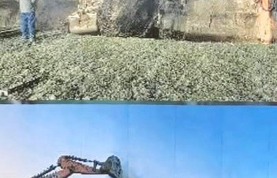 ОБЕГ: 30 м цооногийн нүхэнд гурван настай охин унасан